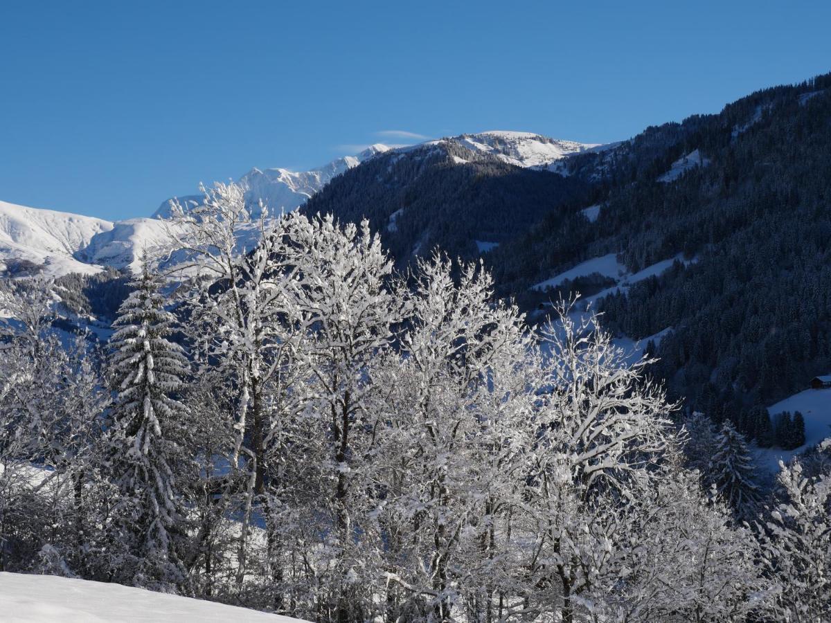 La Ferme D'Hauteluce - Chalets Bagian luar foto