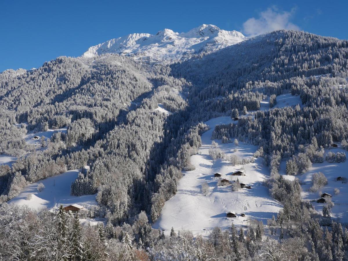 La Ferme D'Hauteluce - Chalets Bagian luar foto